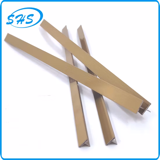 Finiture in acciaio inossidabile per la protezione degli angoli delle pareti